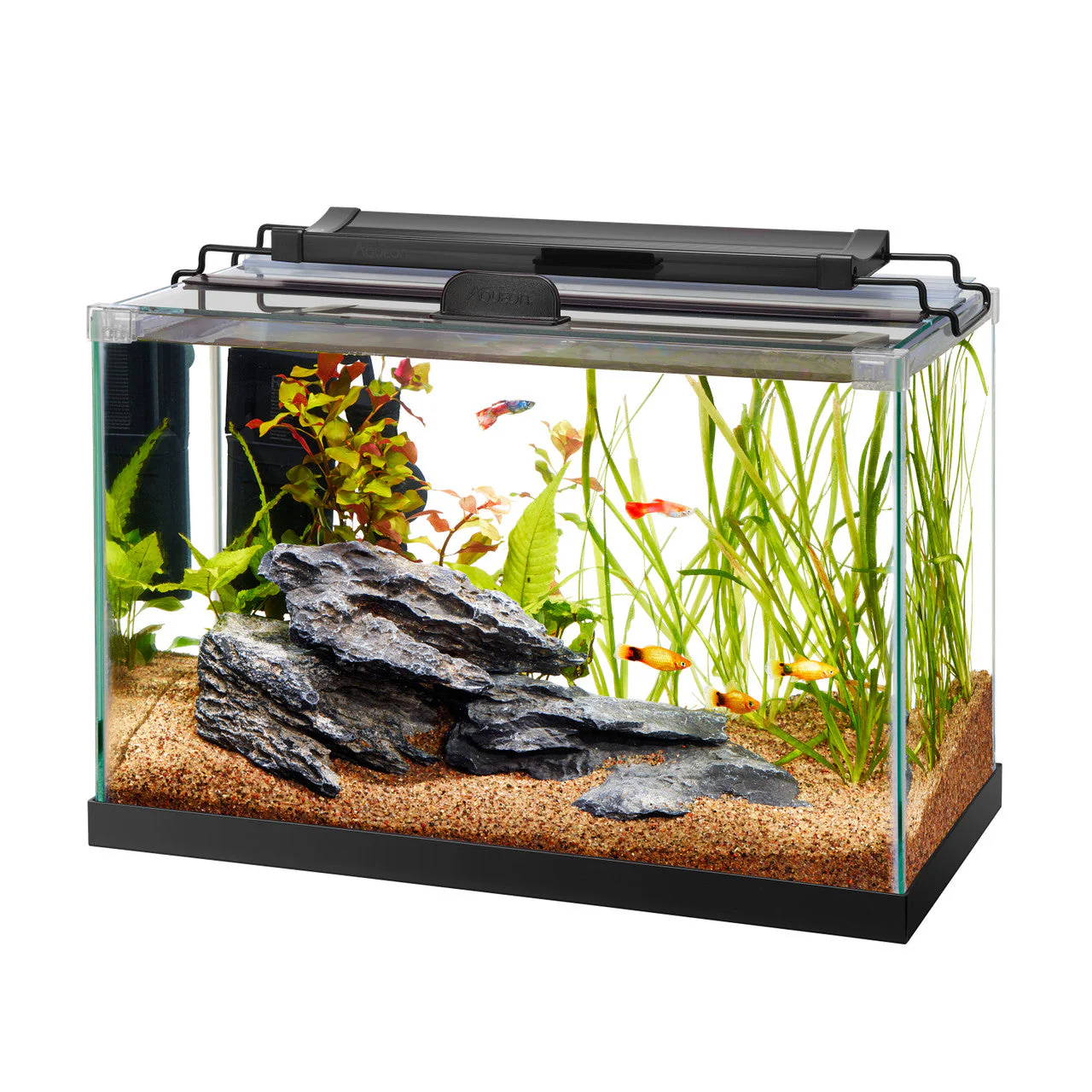 Aqueon Rimless Rectangle Aquarium 5.5 - Keen Glass Solutions
