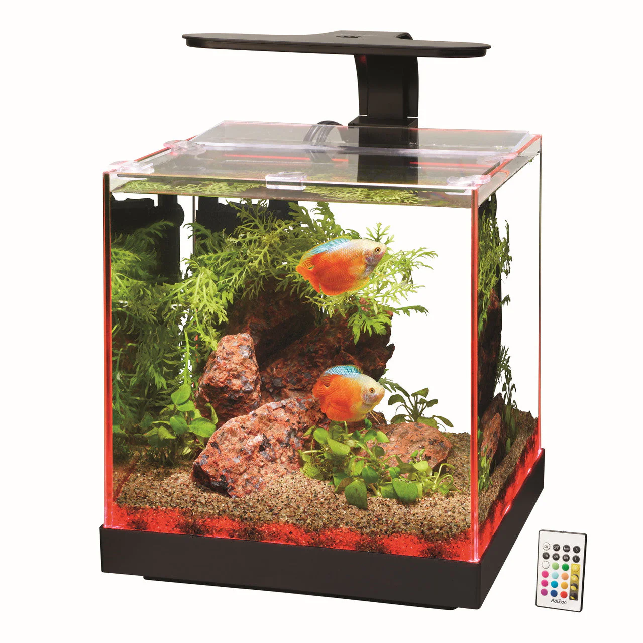 Aqueon Edgelit Rimless Cube Glass Aquariums Size 3 - Keen Glass Solutions