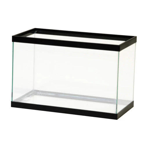 Aqueon Standard Glass Rectangle Aquarium Clear Silicone Black 5.5 - Keen Glass Solutions