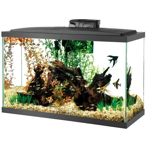 Aqueon Pre-Priced LED Aquarium Kit 29 SD-3 - Keen Glass Solutions