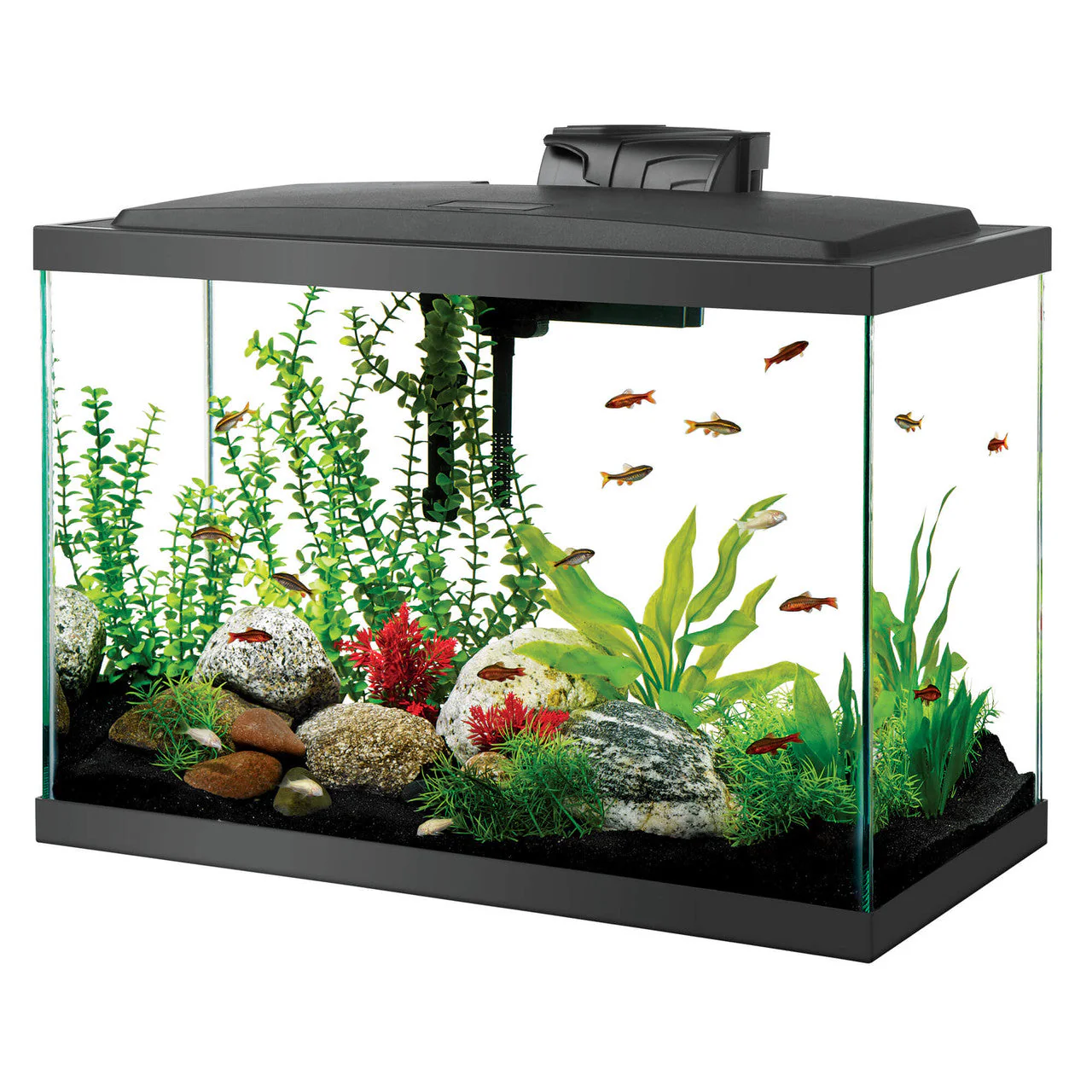Aqueon Aquarium Starter Kit with LED Lighting 20 High - Keen Glass Solutions