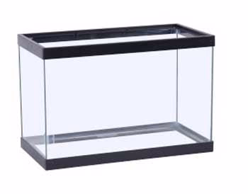 Marineland 5.5 Gallon Tank Black 16x8x10 - Keen Glass Solutions