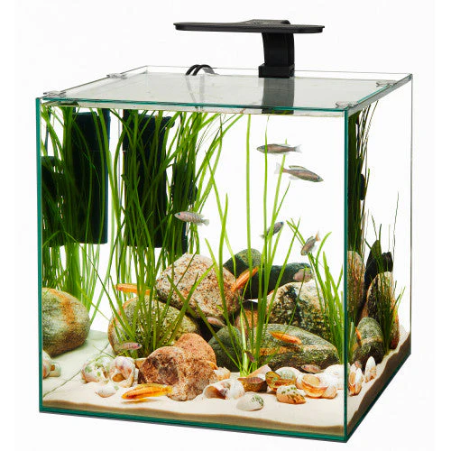 Aqueon Frameless Cube Aquarium 14 - Keen Glass Solutions