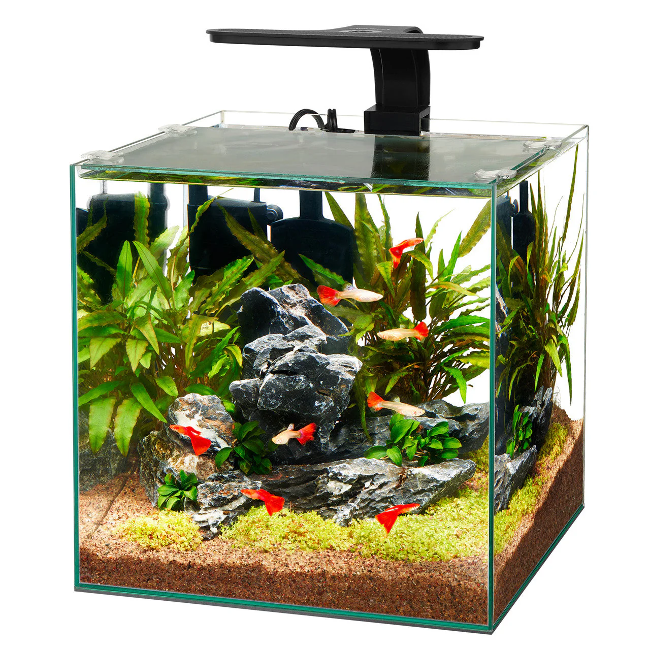 Aqueon Frameless Cube Aquarium 6 - Keen Glass Solutions