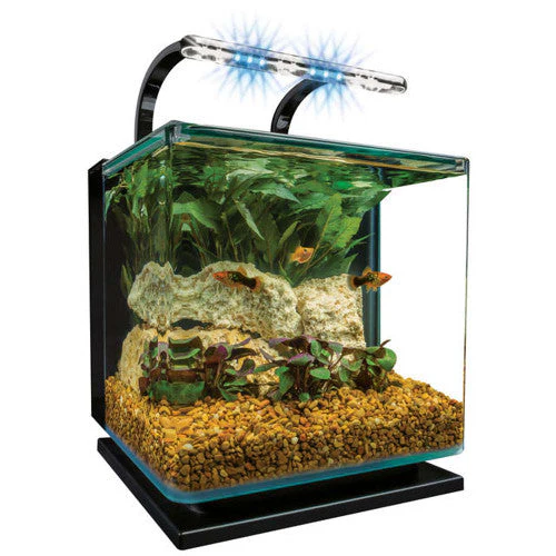 Marineland Contour Aquarium Kit Black, Clear 3 gal - Keen Glass Solutions