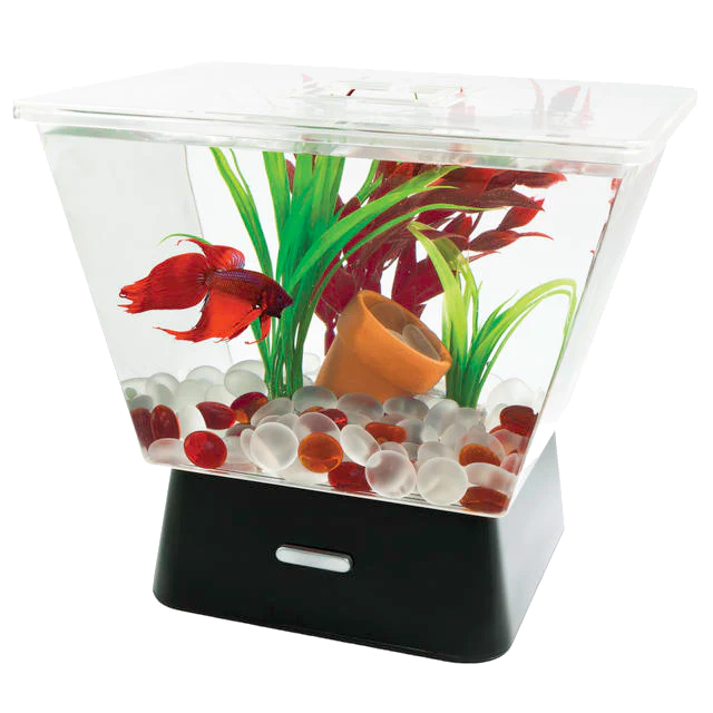 Tetra LED Trapezoid Betta Tank Clear 1 gal - Keen Glass Solutions