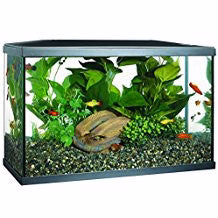 Marina 10 Gallon Led Aquarium Kit, 10 Gal - Keen Glass Solutions
