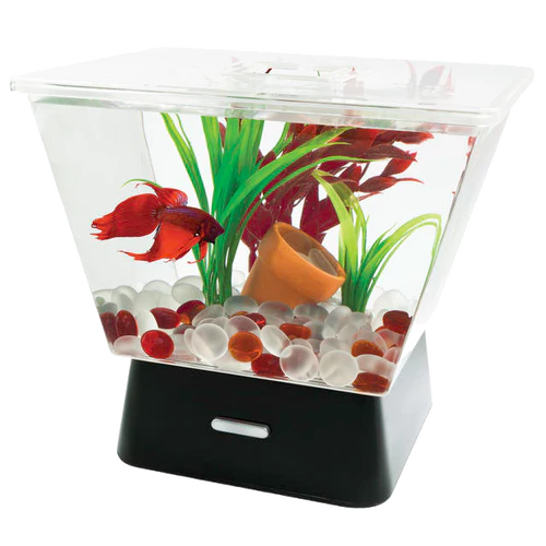 Tetra LED Trapezoid Betta Tank Clear 1 gal - Keen Glass Solutions