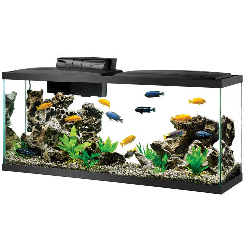 Aqueon Pre-Priced LED Aquarium Kit 55 SD-3 - Keen Glass Solutions
