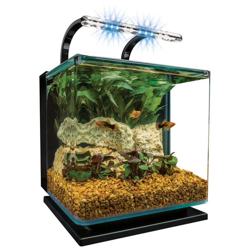 Marineland Contour Aquarium Kit Black, Clear 3 gal - Keen Glass Solutions