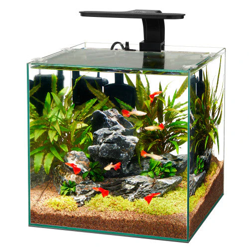 Aqueon Frameless Cube Aquarium 6 - Keen Glass Solutions