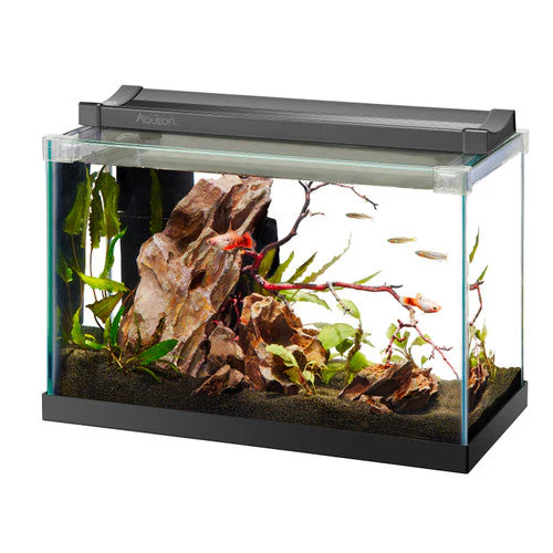 Aqueon Rimless Rectangle Aquarium 2.5 - Keen Glass Solutions