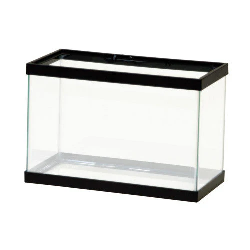 Aqueon Standard Glass Rectangle Aquarium Clear Silicone Black 2.5 - Keen Glass Solutions