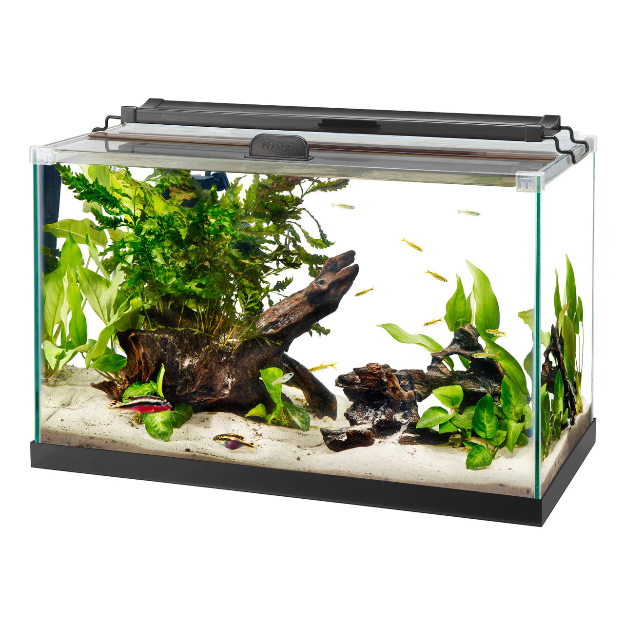 Aqueon Rimless Rectangle Aquarium 10 - Keen Glass Solutions